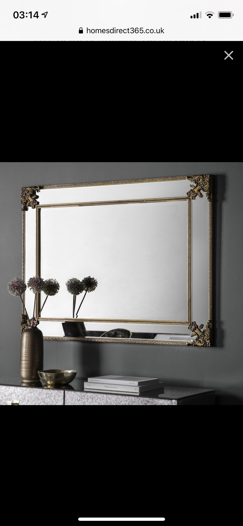 Wilson Mirror In Champagne or Rustic Gold